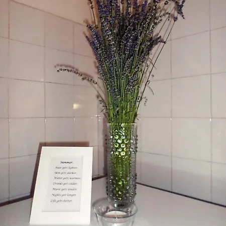 House Vesna Гостевой дом 3*